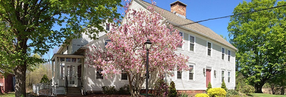 Sping Office Picture